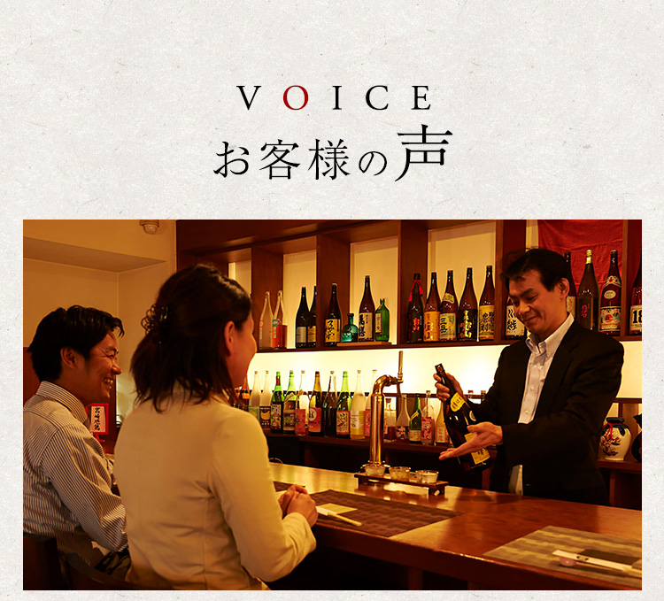 voice